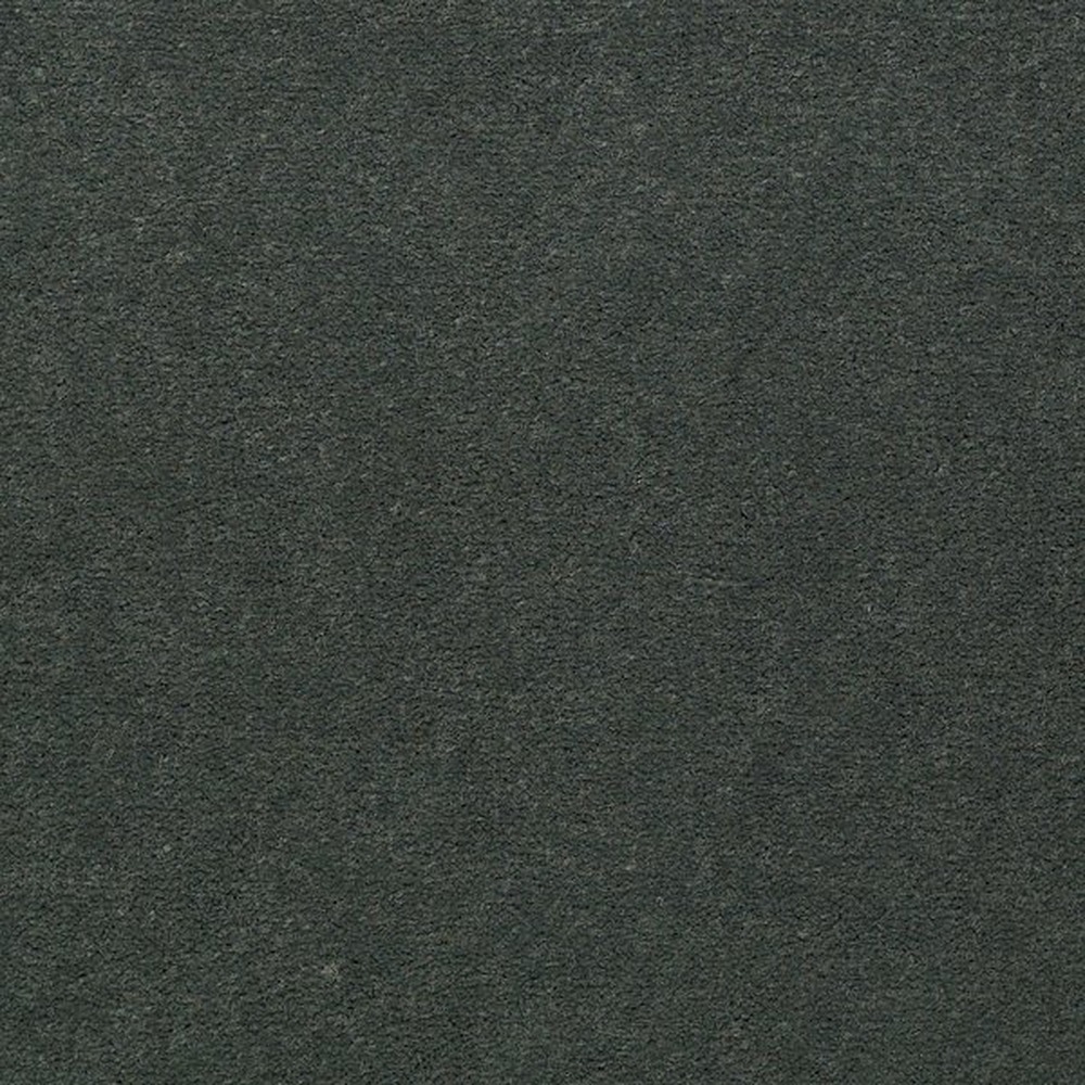 Emphatic II 30 - Hedge