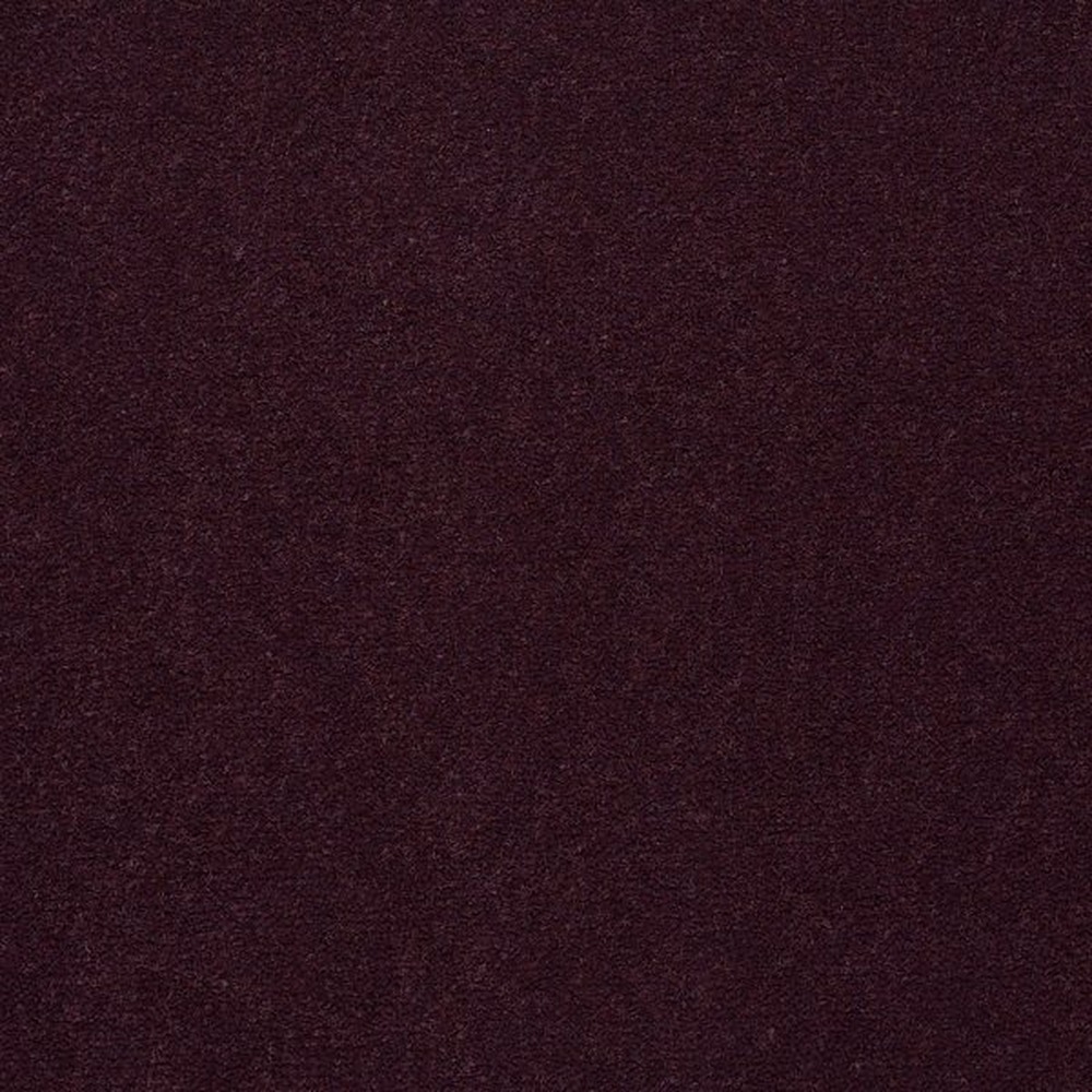 Emphatic II 30 - Perfect Plum