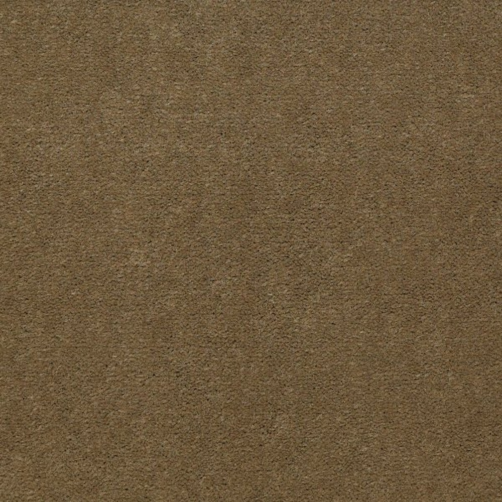 Emphatic II 36 - Olive Twist