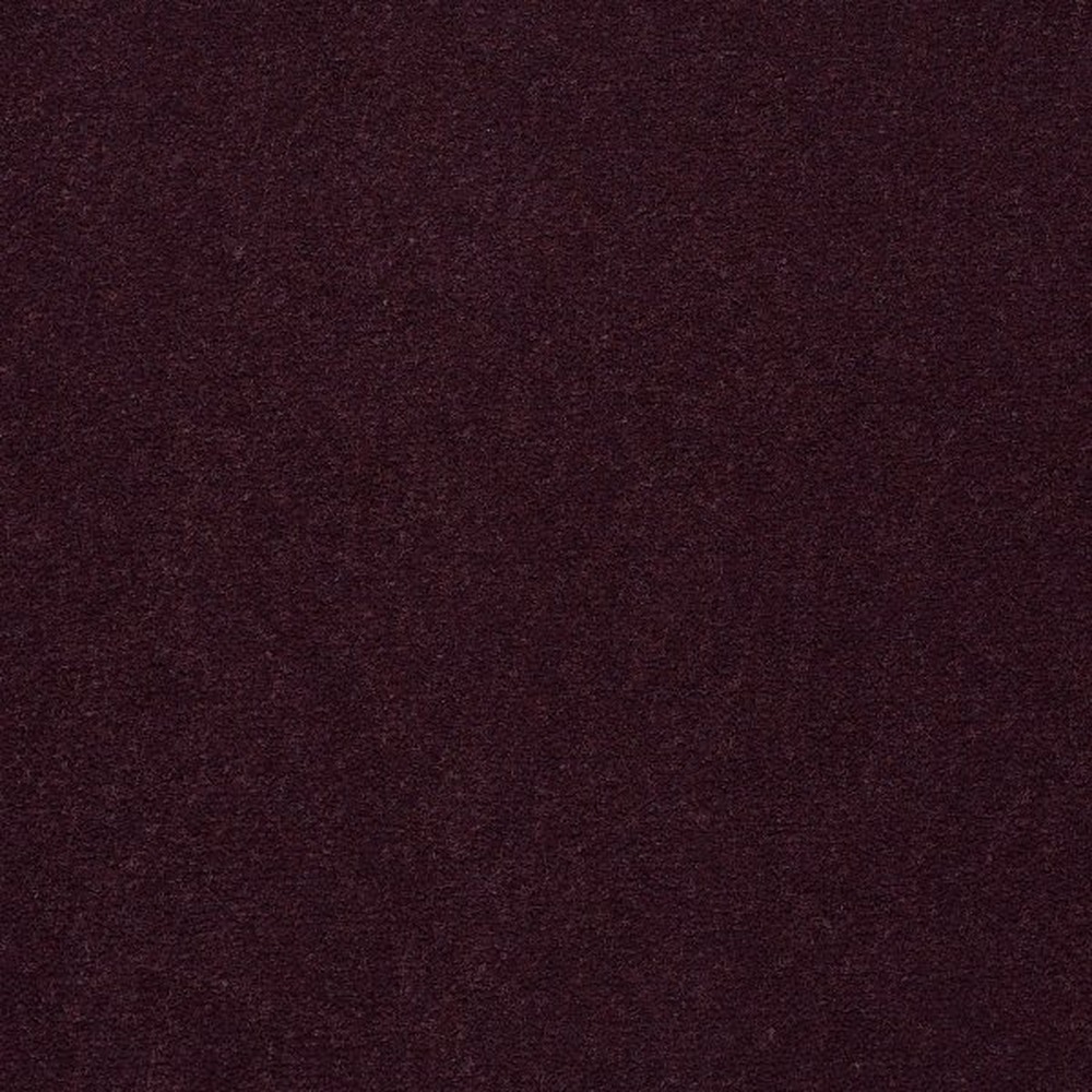 Emphatic II 36 - Perfect Plum