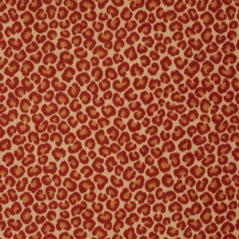Cheetah - Big Cat