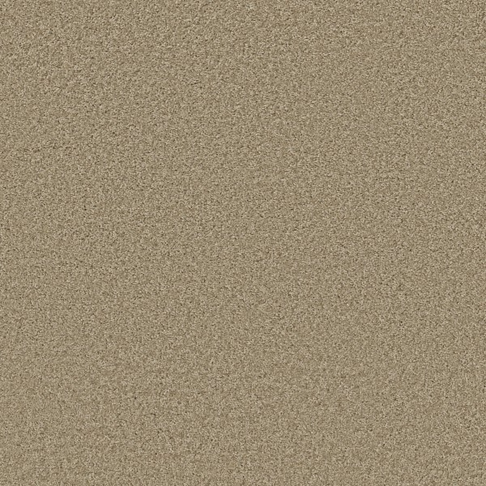 Idle Time - Sand Dollar