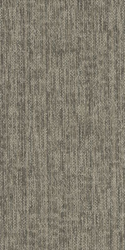 Crazy Smart (Savvy) by Shaw Carpet