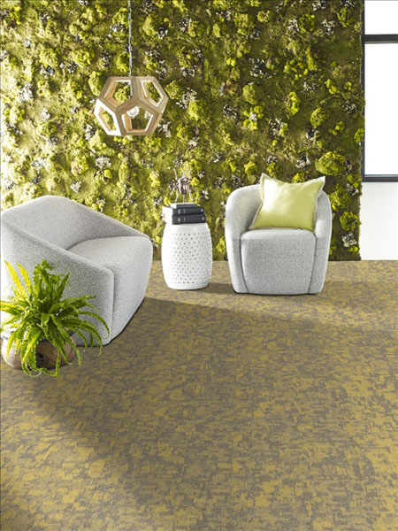 Arid 18 x 36 Tile - Monadnock