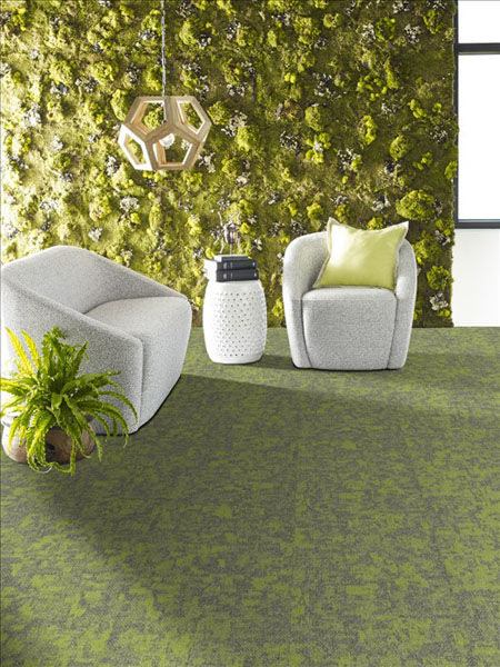 Arid 18 x 36 Tile - Taiga