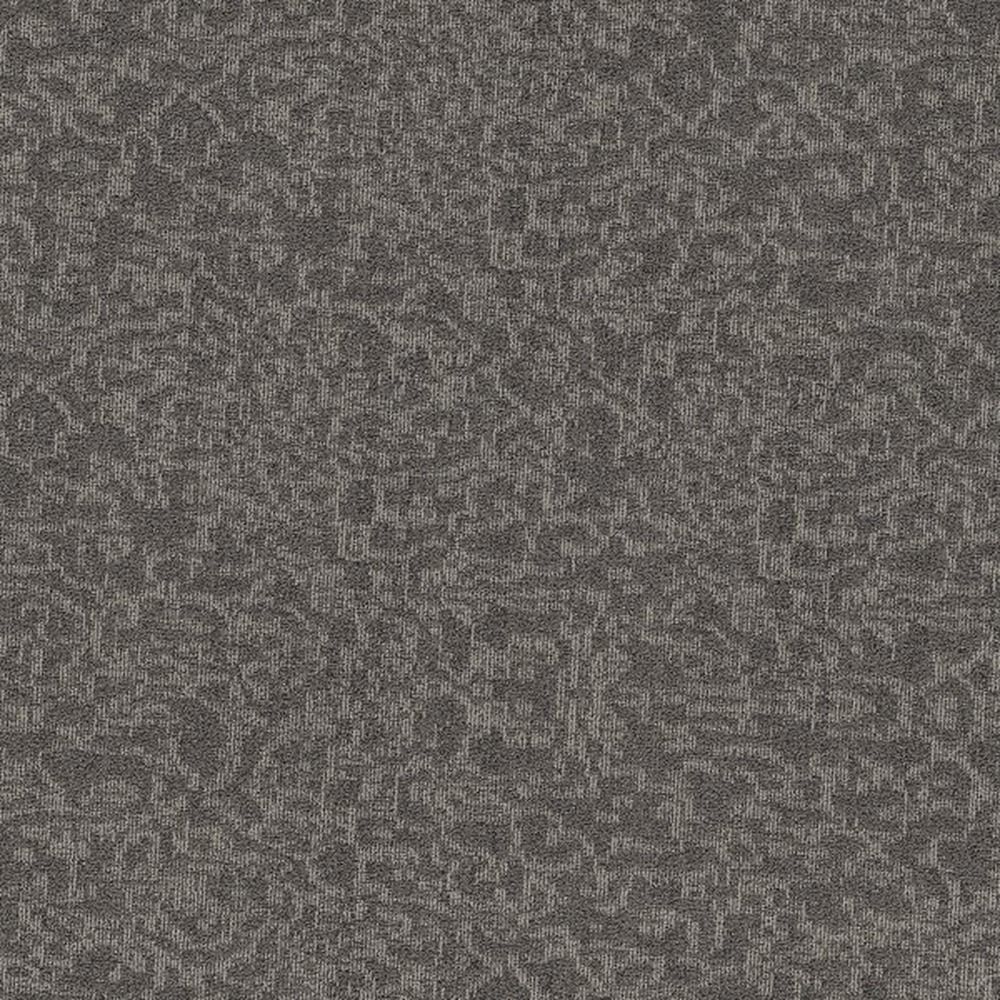 Mindful Movement Broadloom - Gauntlet Grey