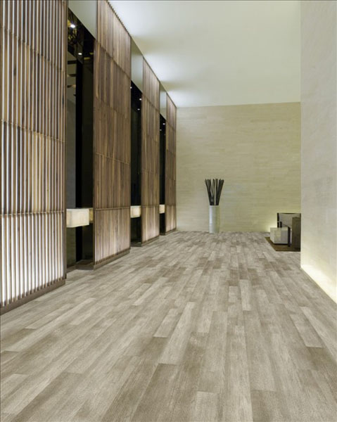 In the Grain II 20 - Fir