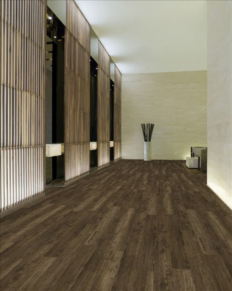 Sustain 20 - Burlwood