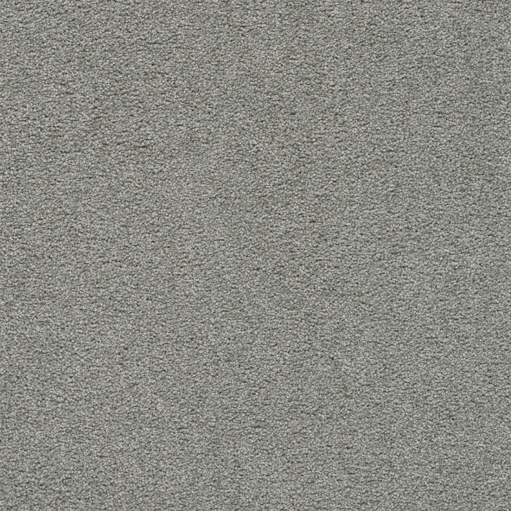 Spectrum I - Kiwi Cove