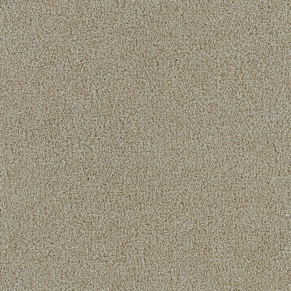 Spectrum III - Cream