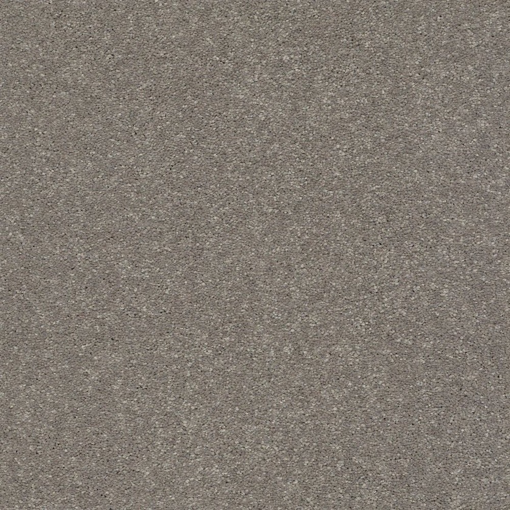 Solidify II 15 - Tree Bark