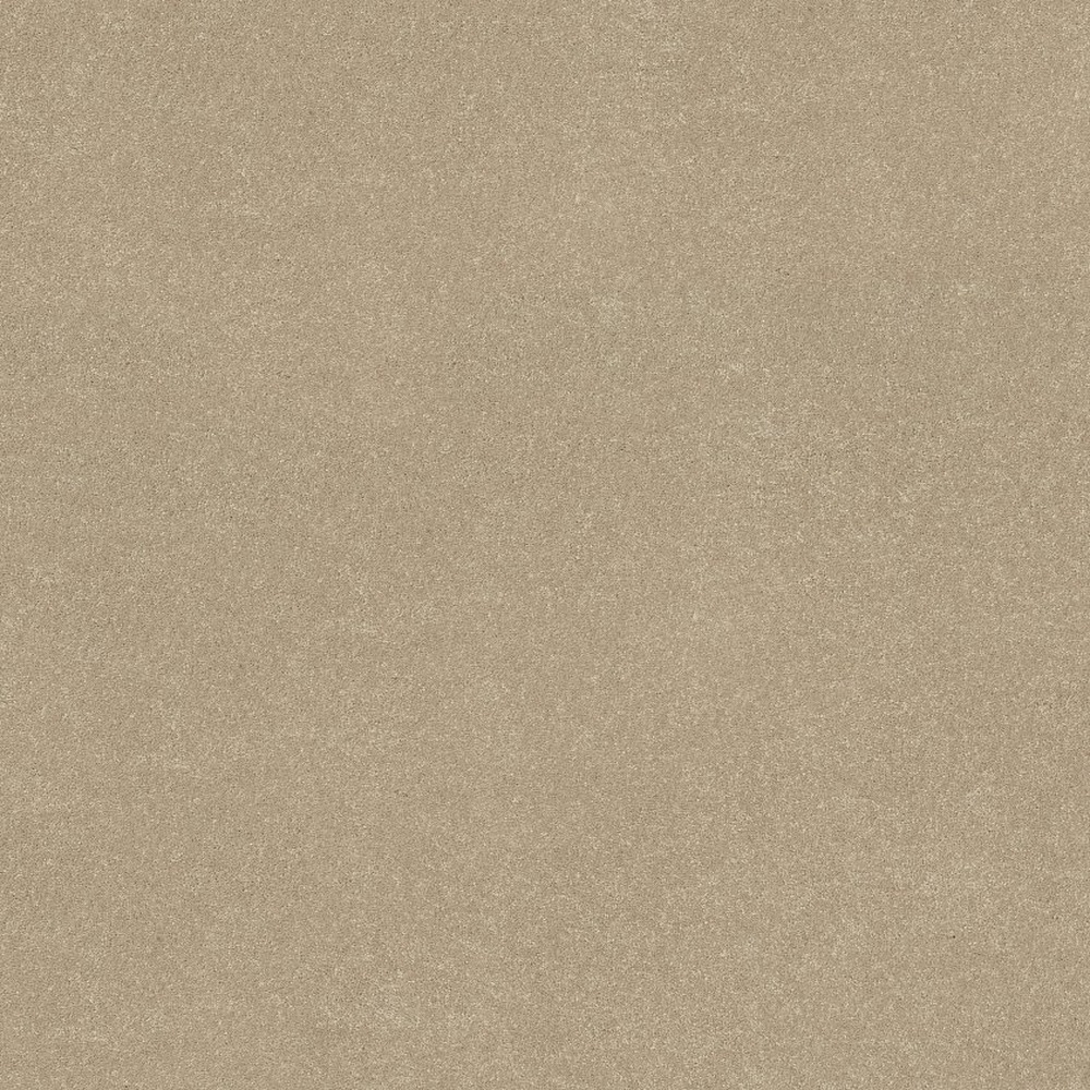 Solidify III 12 - Raw Lumber