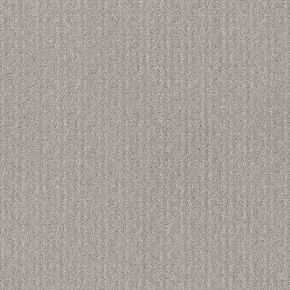 TRANSFORM - FEATHER