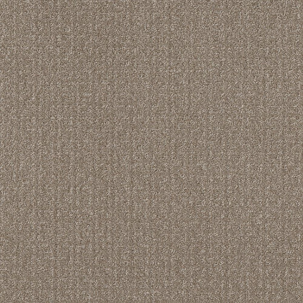 TRANSFORM - SIMPLY TAN