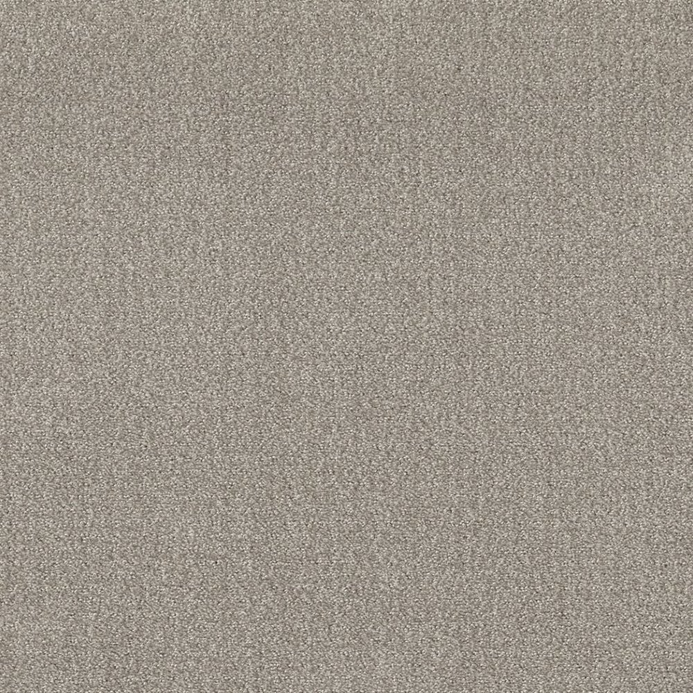 TRANSLATE - FOSSIL