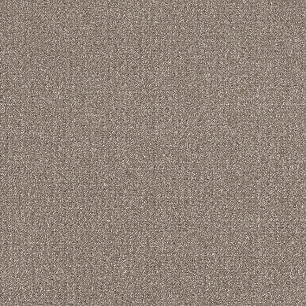 TRANSLATE - SIMPLY TAN