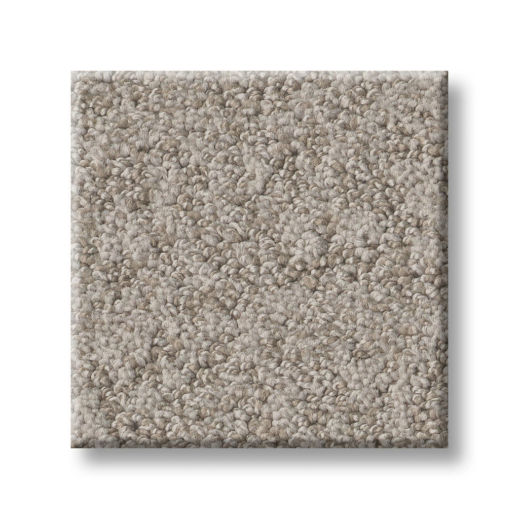 Alluring Canvas - Fossil Path