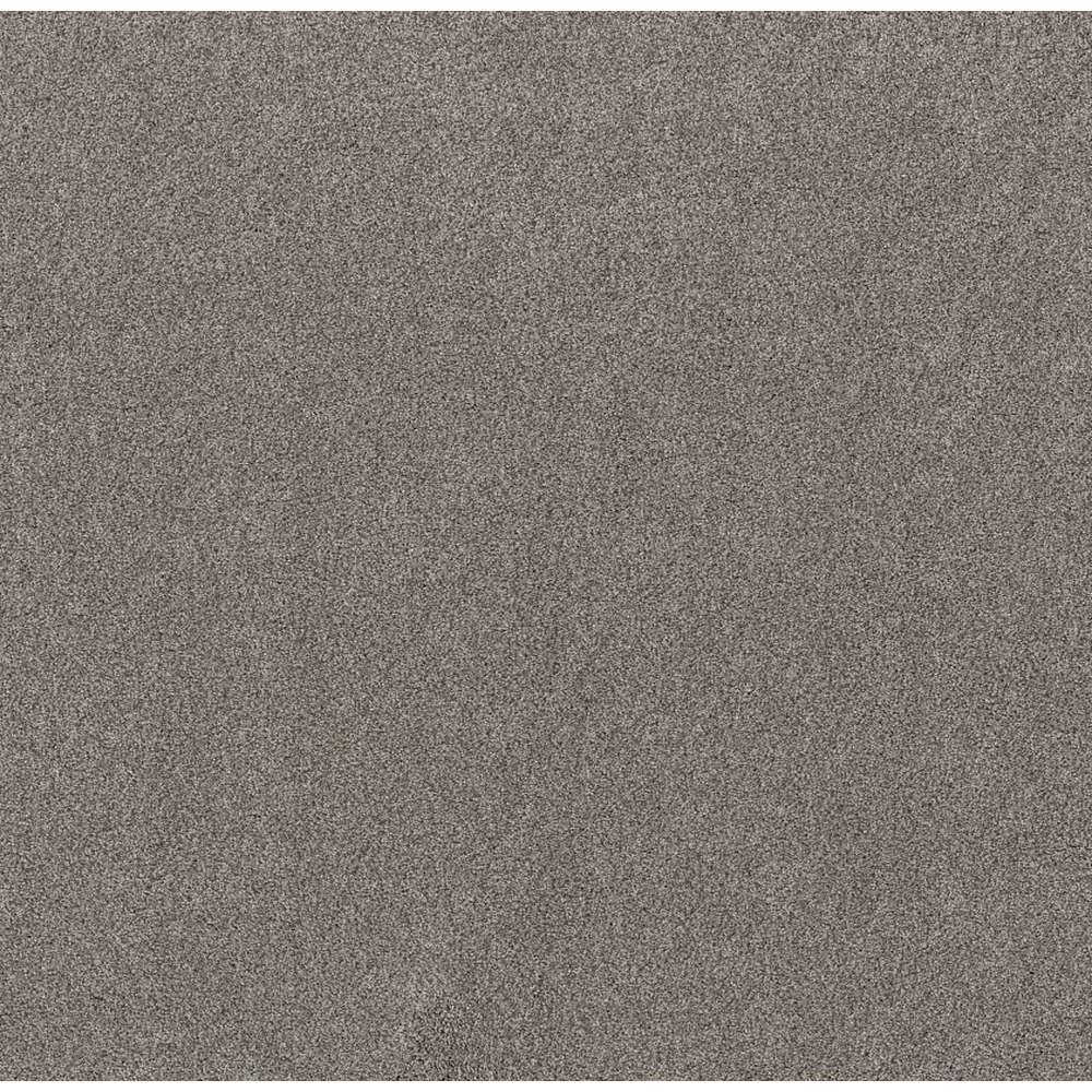 Live On Comfort - Century Taupe