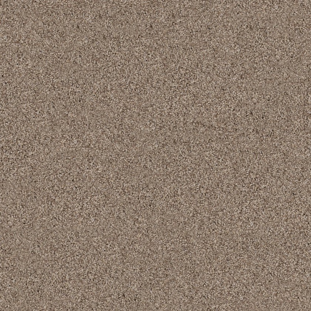 Live On Comfort - Hillcrest Tan