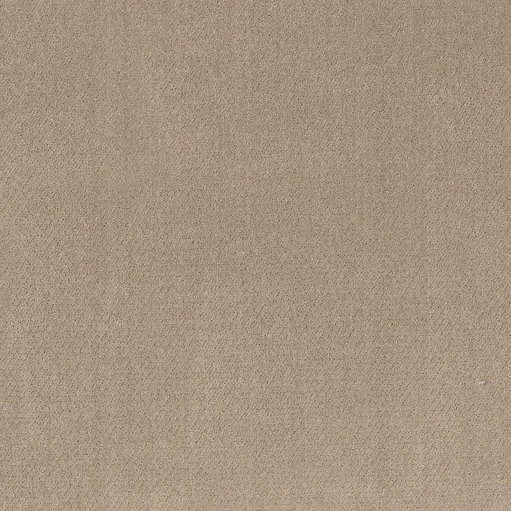 Simply Classic - Sea Shell
