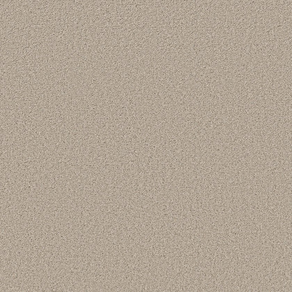 Trusolutions I - Sugar Cookie