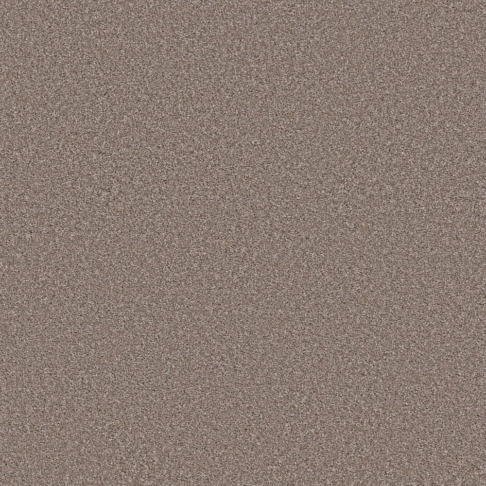 Trusolutions I - Taupe Dream