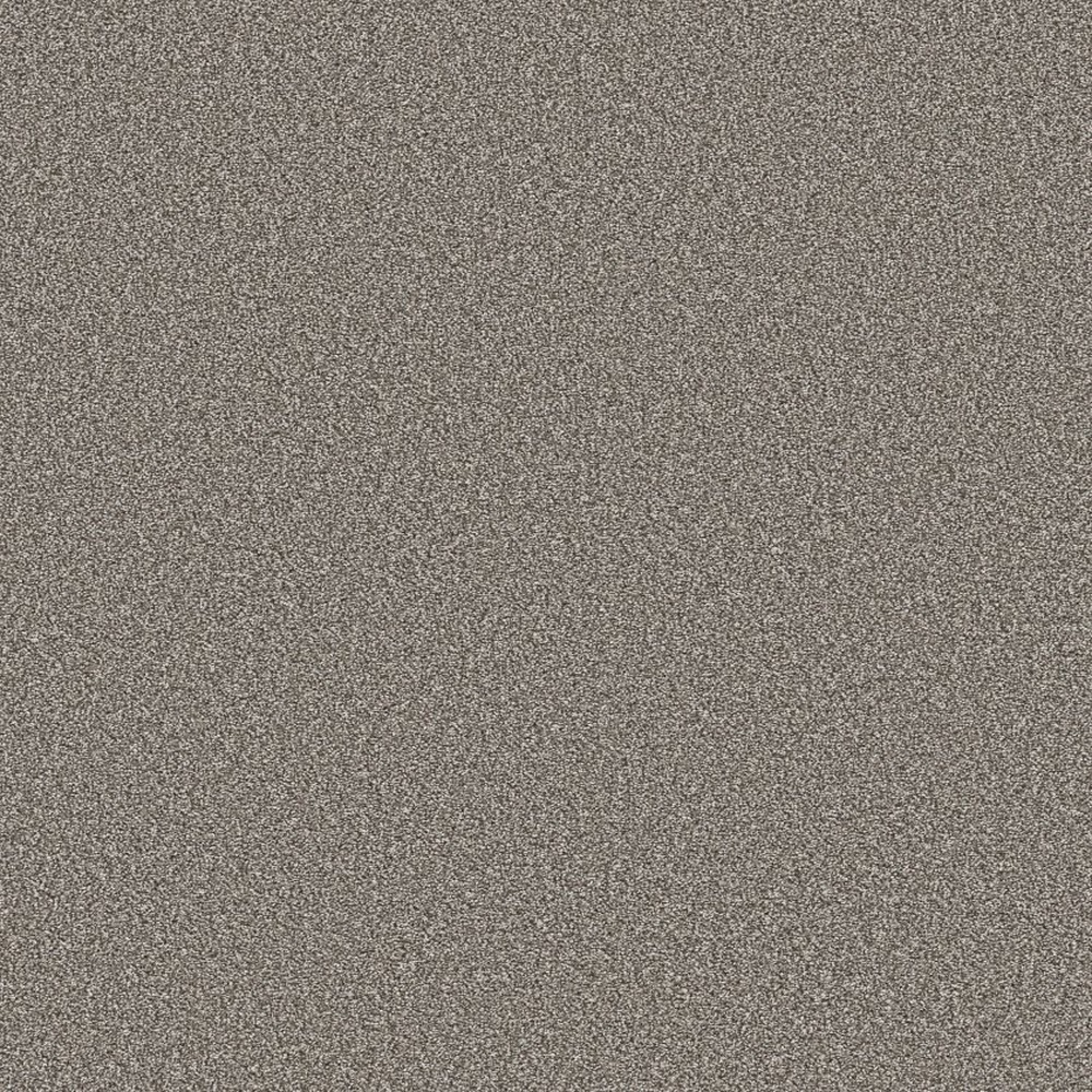 Trusolutions III - Tree Bark