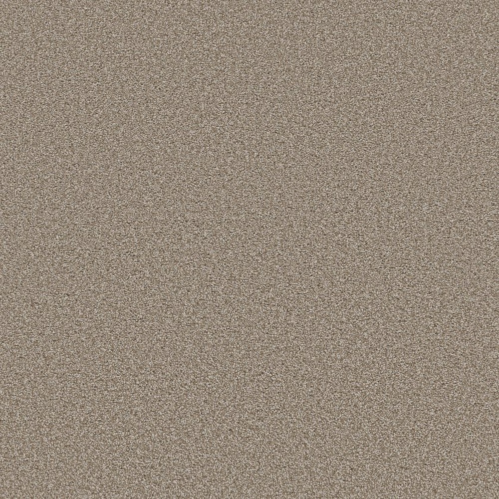 Trusolutions III - Beach Cabana