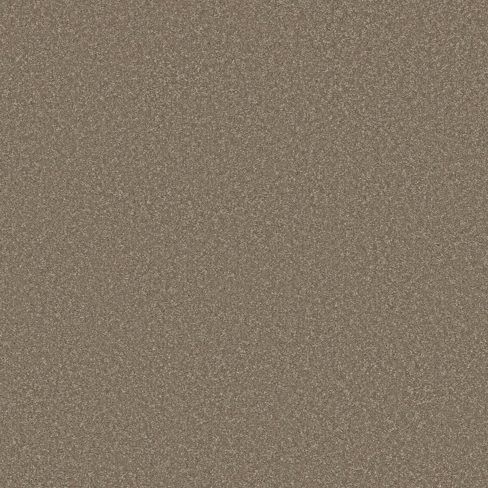 Way To Go I - Chic Taupe