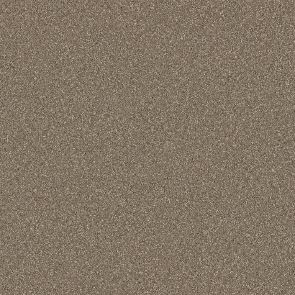 Way To Go III - Chic Taupe
