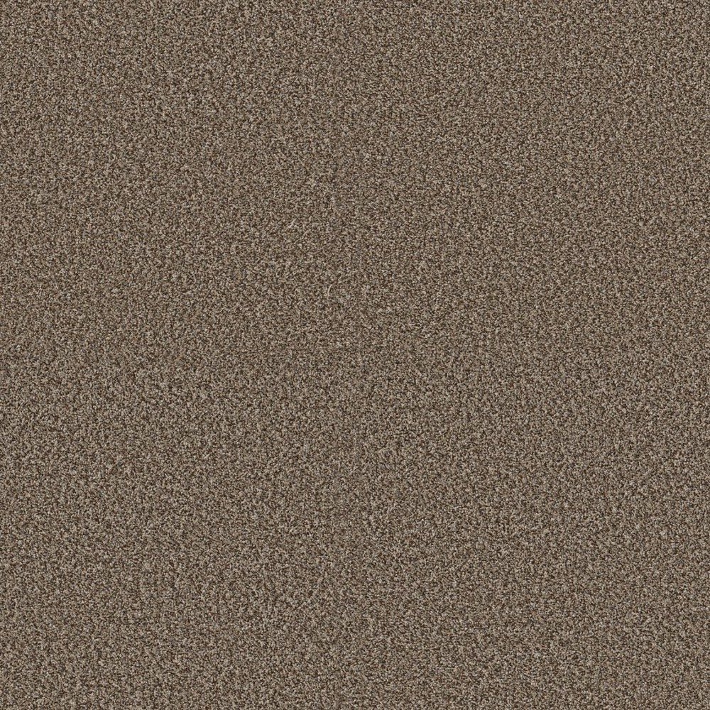 Renewed Energy II - Freckles