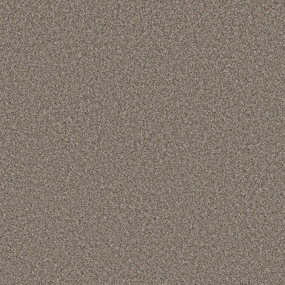 Remixed Classic - Nutria