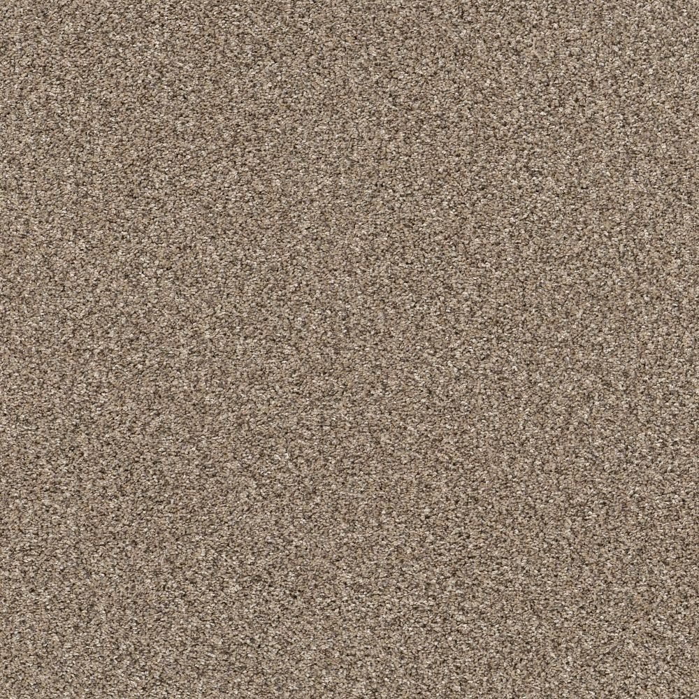 Refined Chic - Sea Shell