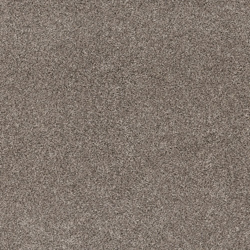 Refined Chic - Warm Light