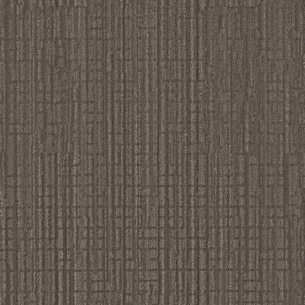 Skyline Shift - Tree Bark