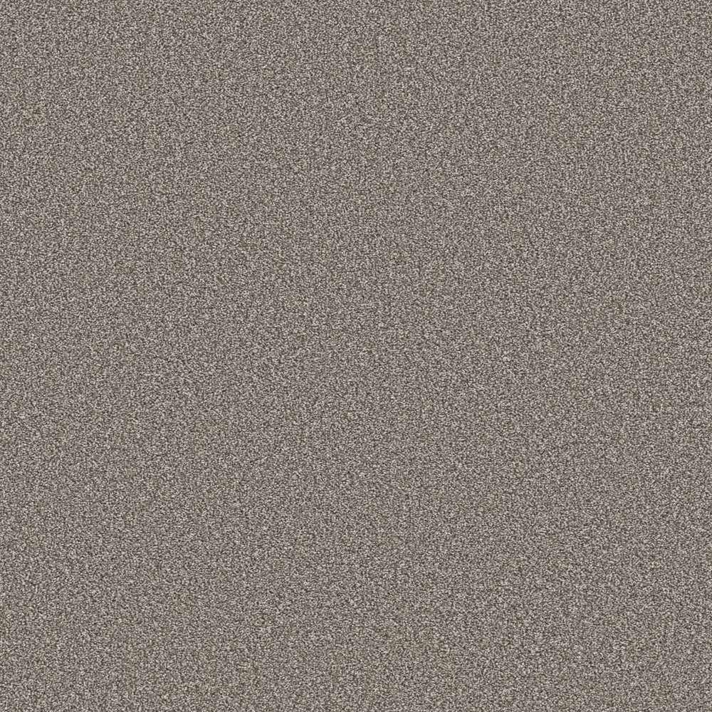 BEST YET - TREE BARK