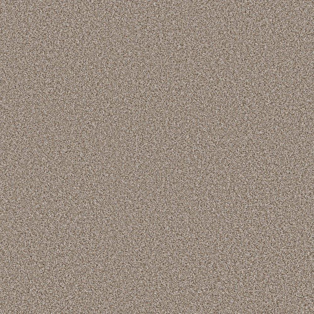 BEST YET - TIMELESS TAN
