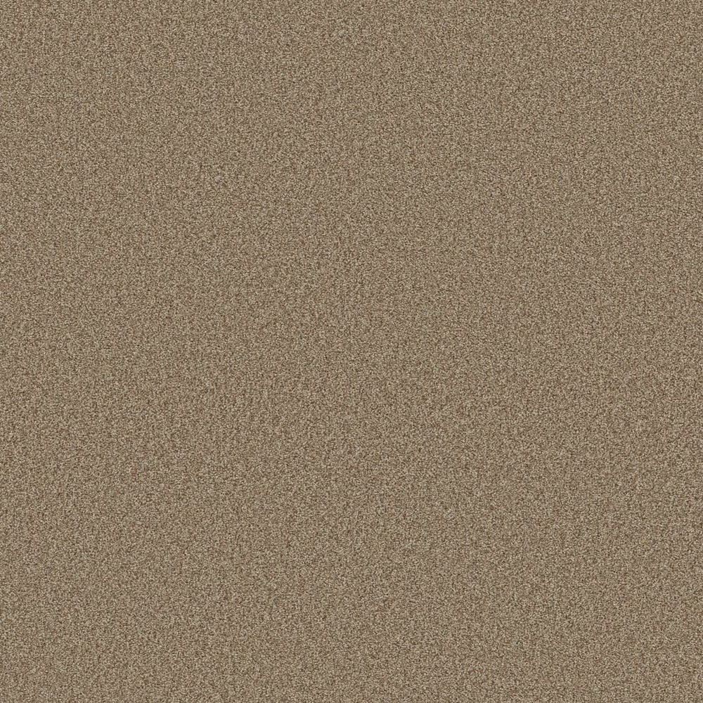 Comforting II - Studio