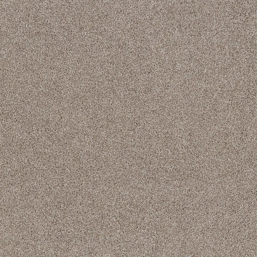 Soft Effervescence - Daytona Sand