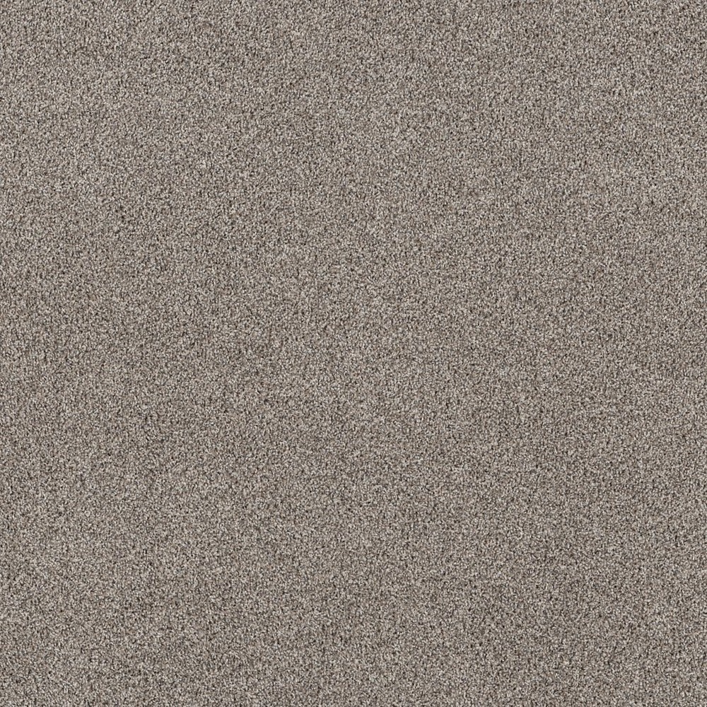 Soft Effervescence - Mushroom