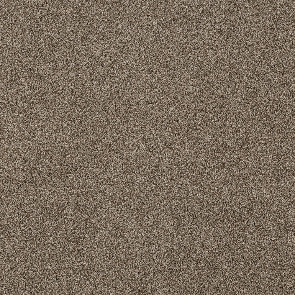 Soft Effervescence - Mocha Latte\'