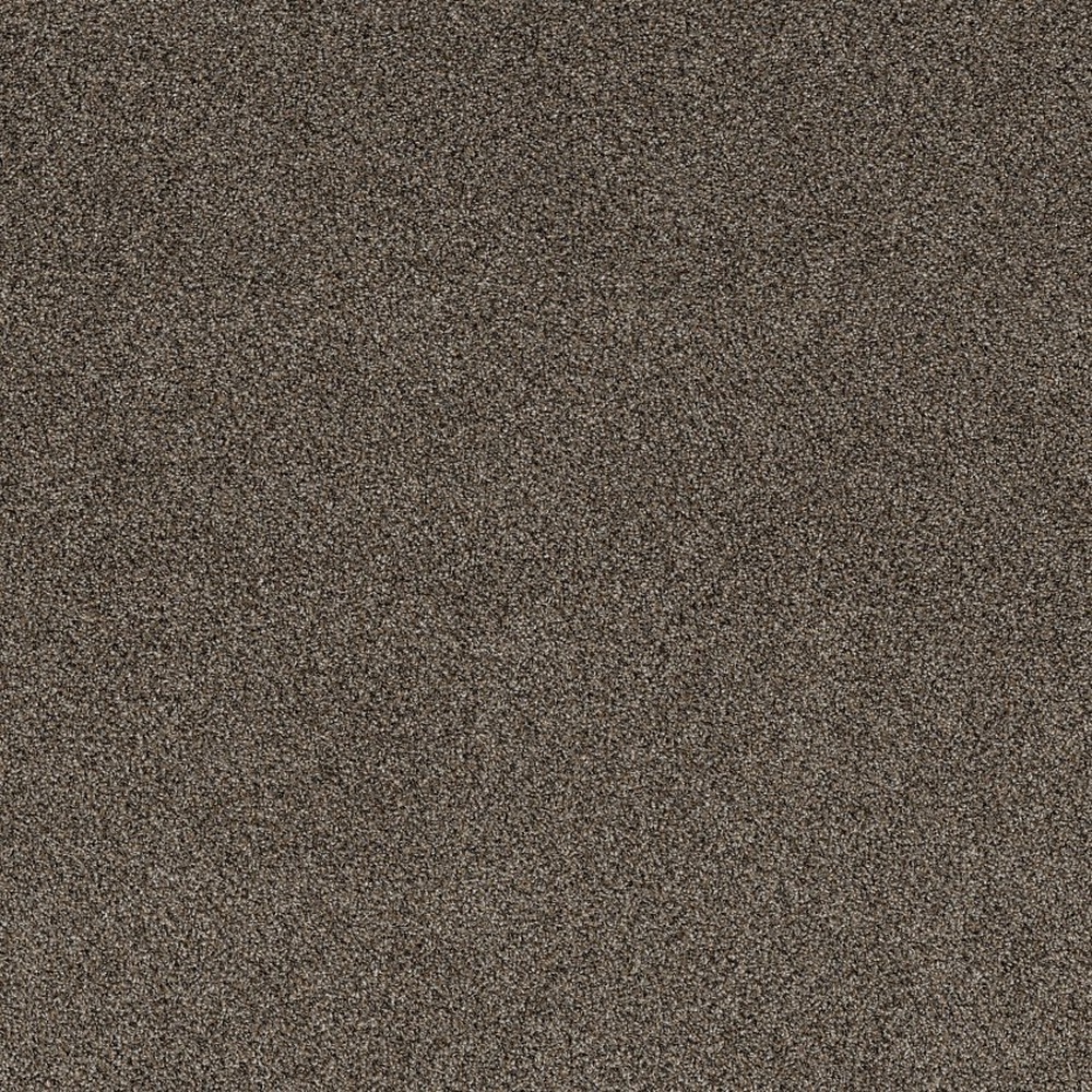 Soft Effervescence - Tree Bark