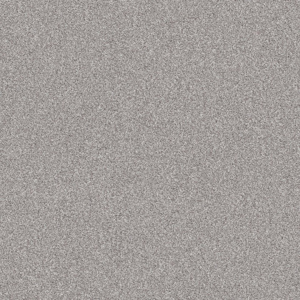Inlet Shore II 12 - Sheer White