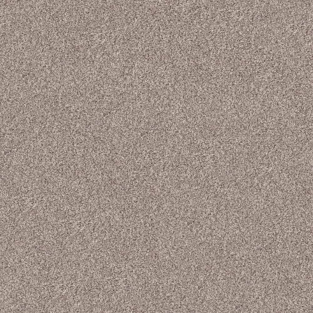 Inlet Shore II 12 - Pale Ecru