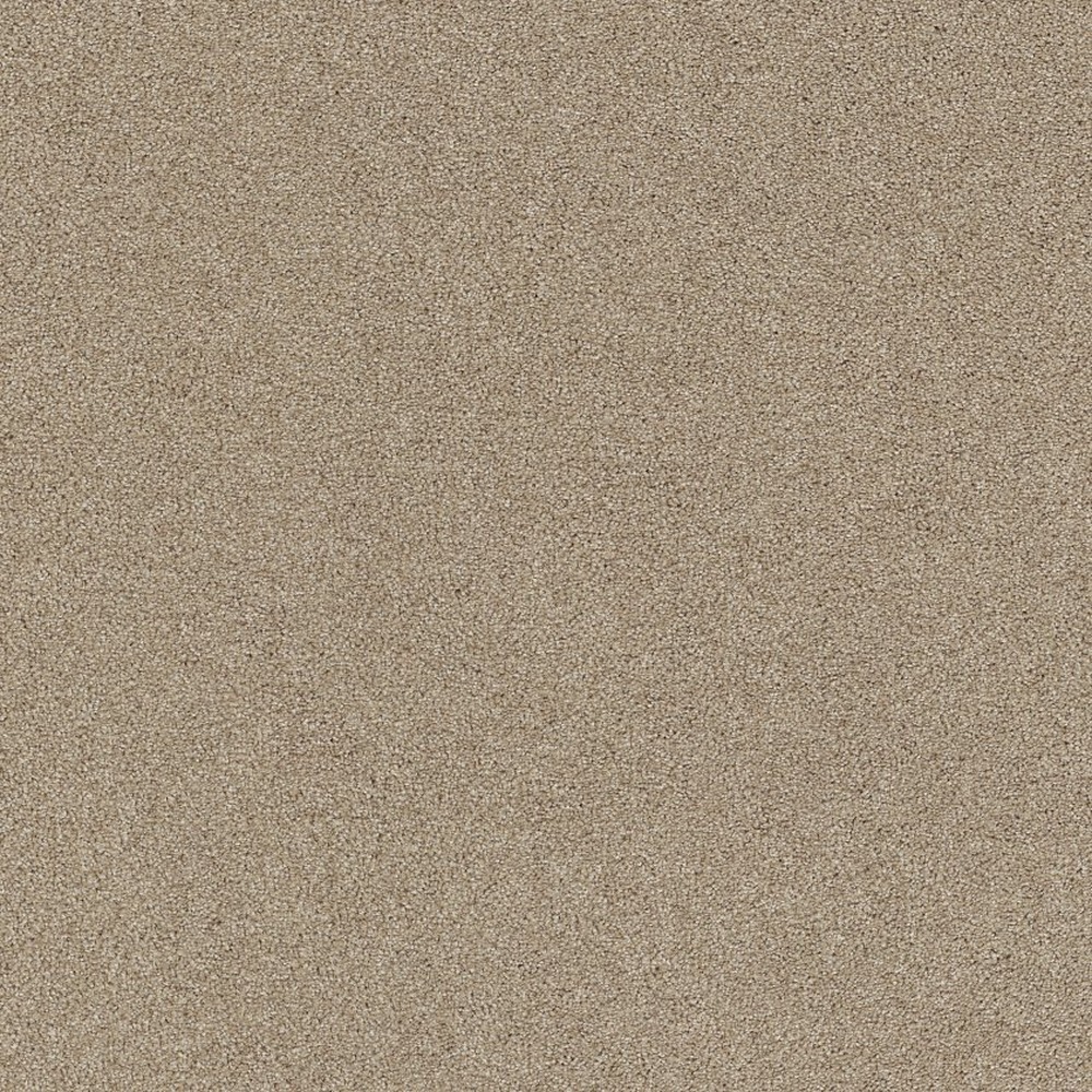 Affirmation I - Loft Light