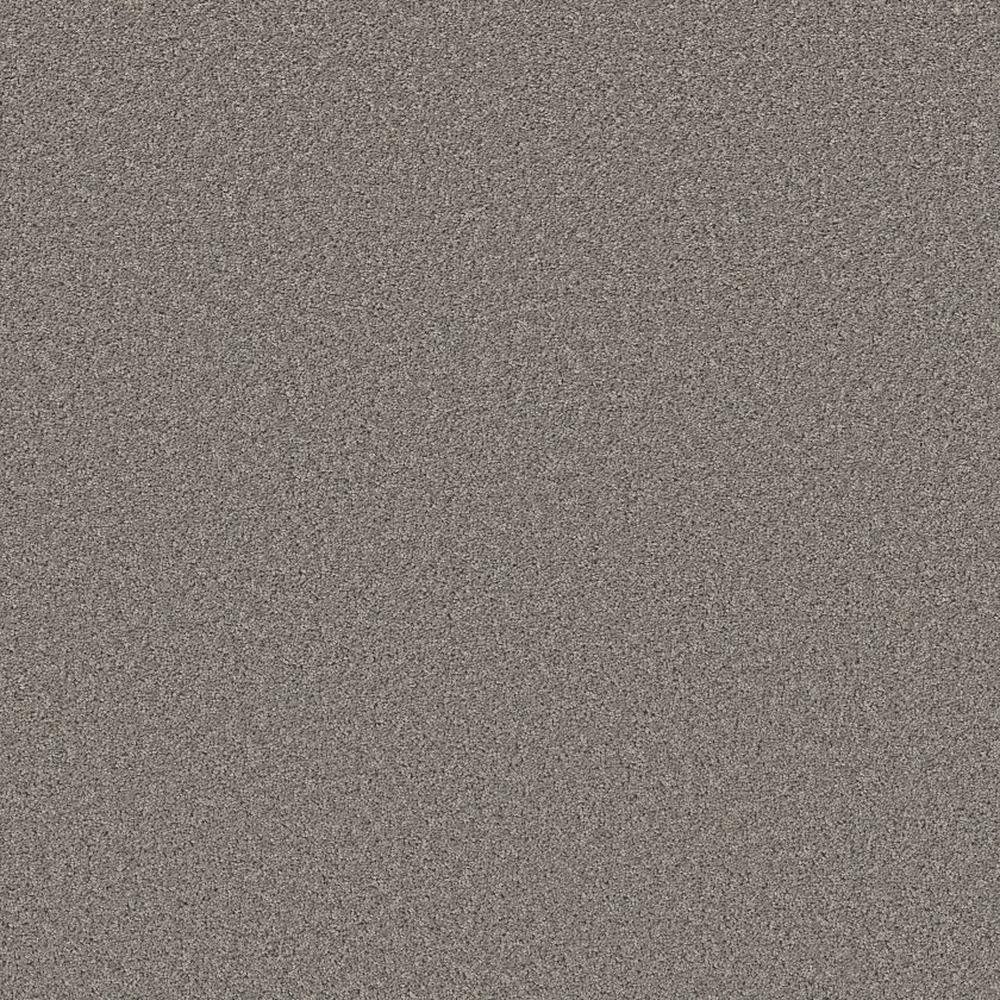 High Ranking - Solid - Skyline