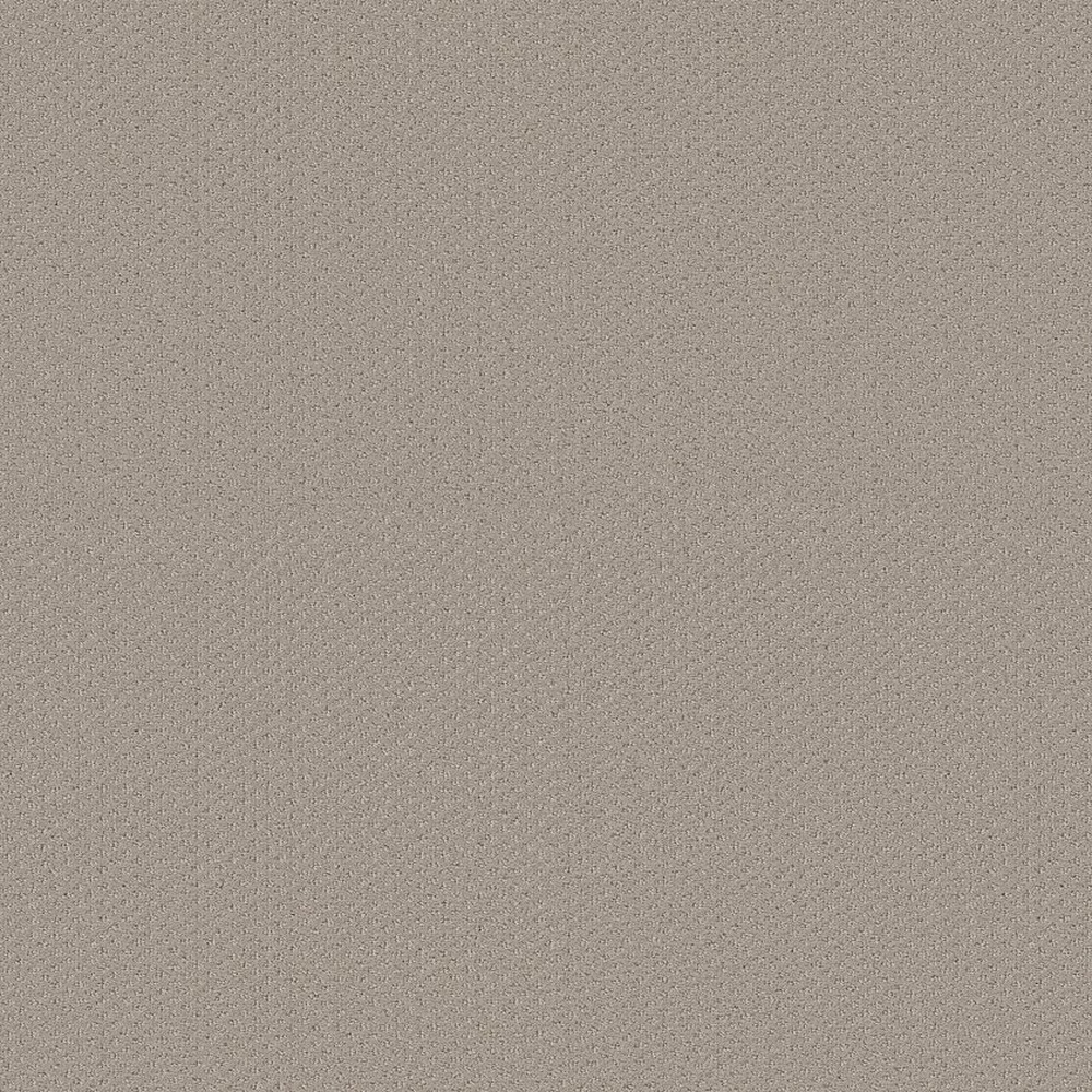 Austin Park - Studio Taupe