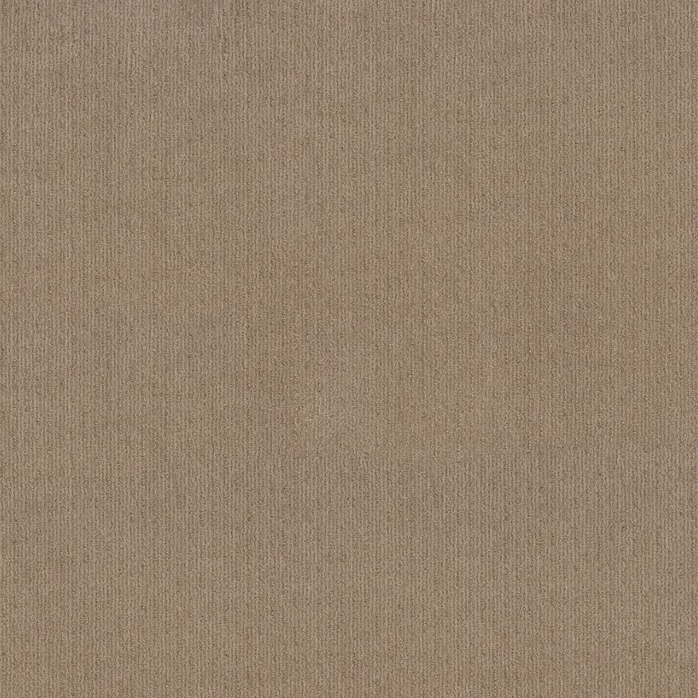Cedar City - Leather