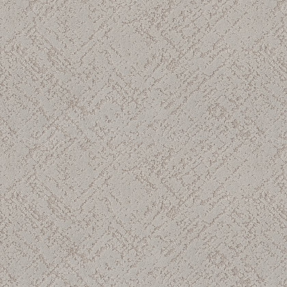 Sincere Focus - Plaster