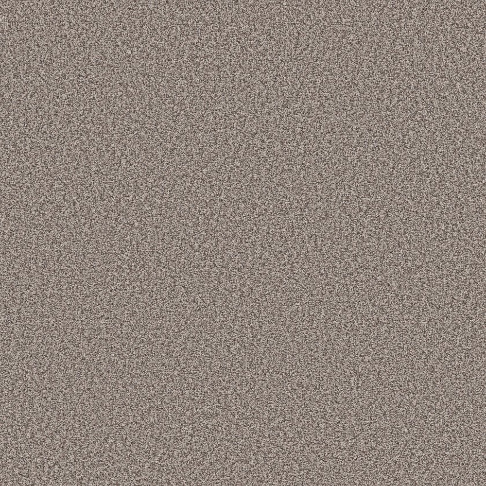 Prescott Valley - Chic Taupe